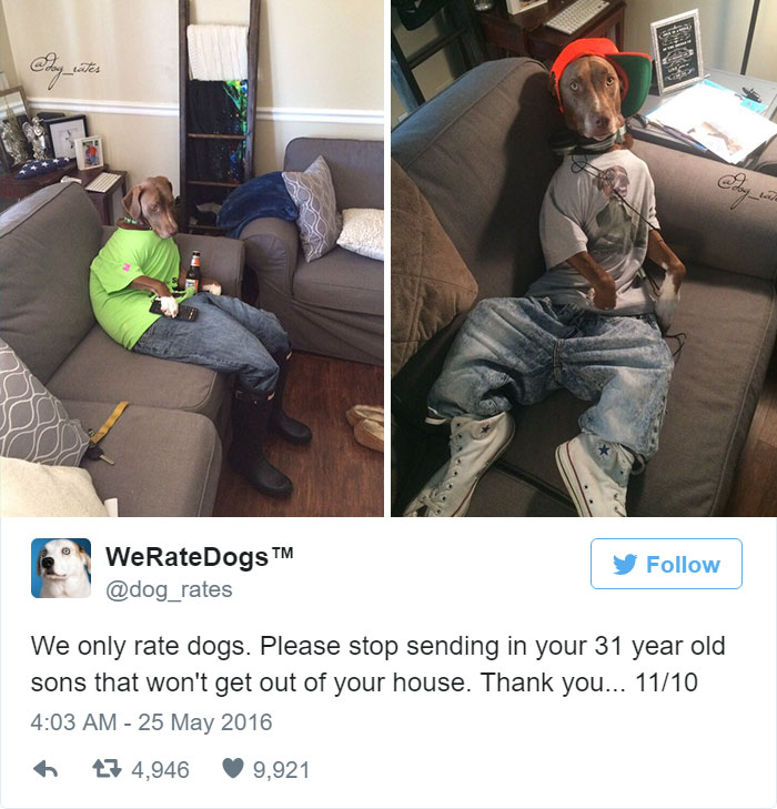 Please Stop Sending in Your 31 Year Old Sons That Won't Get Out Of Your House, We Only rate Dogs. 11/10