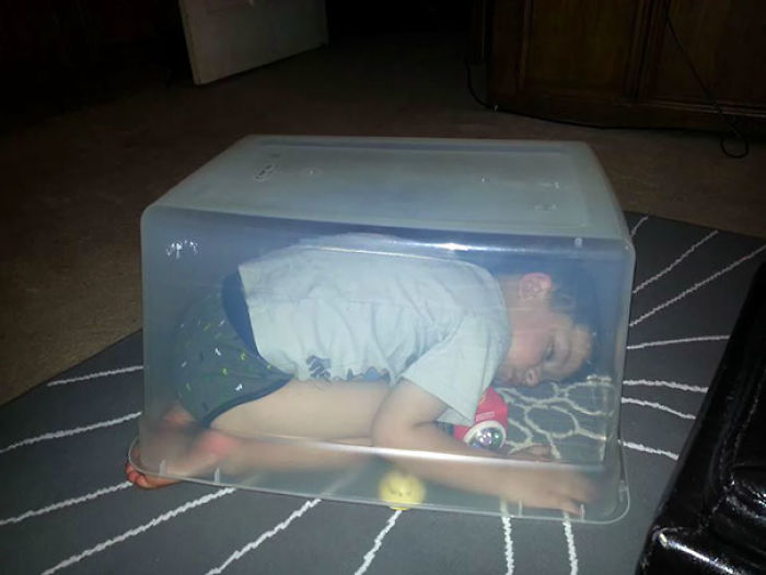 Napping Under The Box