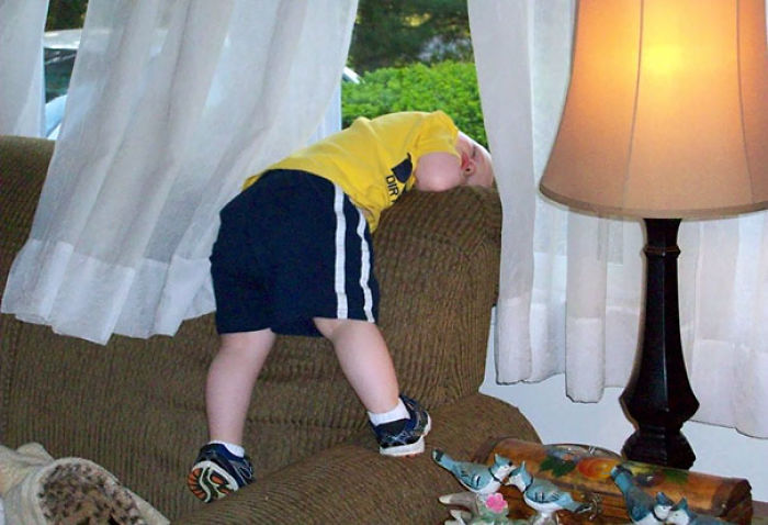 Napping Before The Escape Plan Through The Window