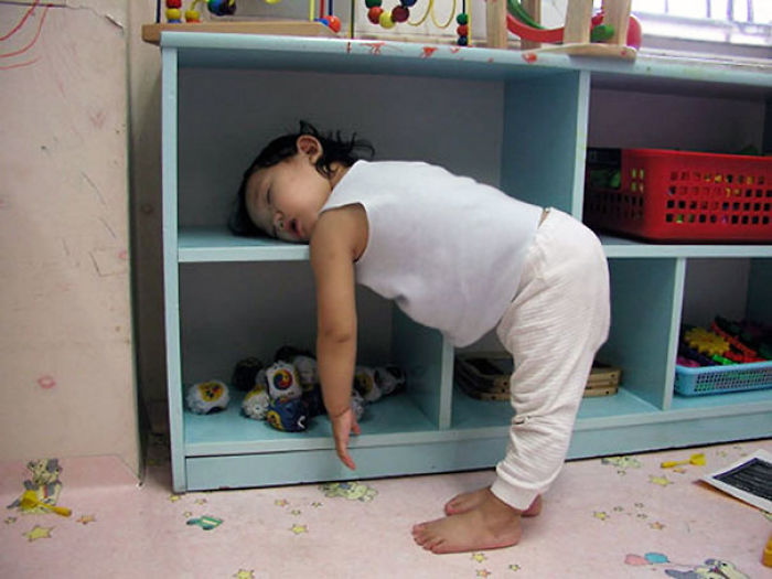Napping On A Shelf