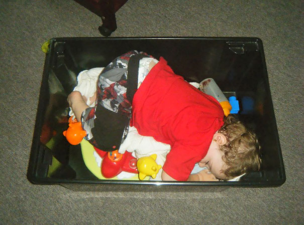 Napping In A Toy Box