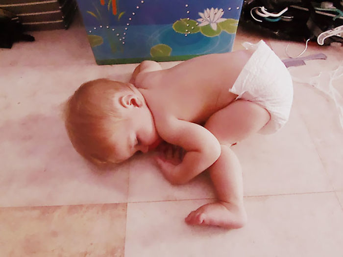 Napping On The Floor