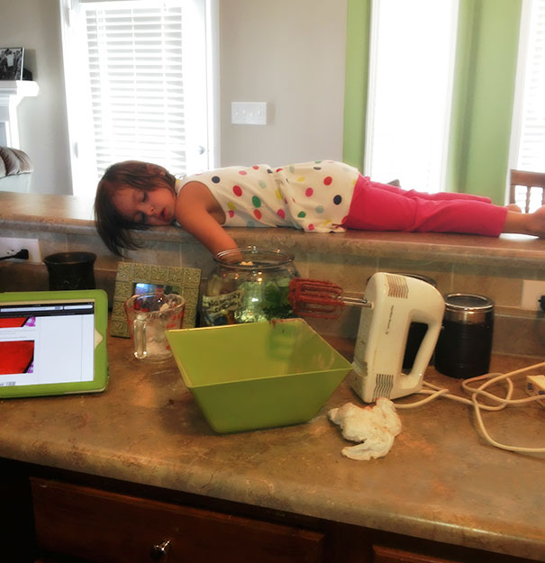 Napping On A Kitchen's Counter