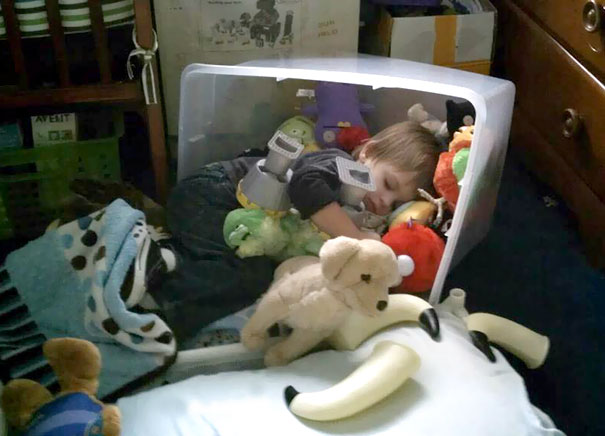Napping In A Toys Box