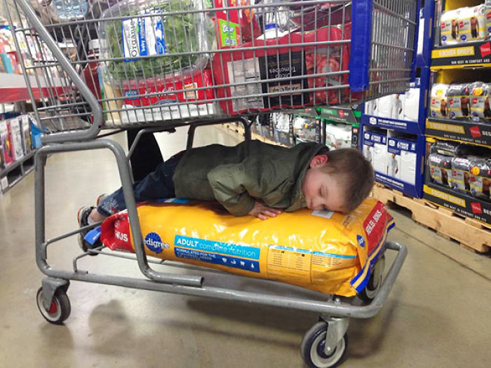 Napping On A Pack Of Dog Food