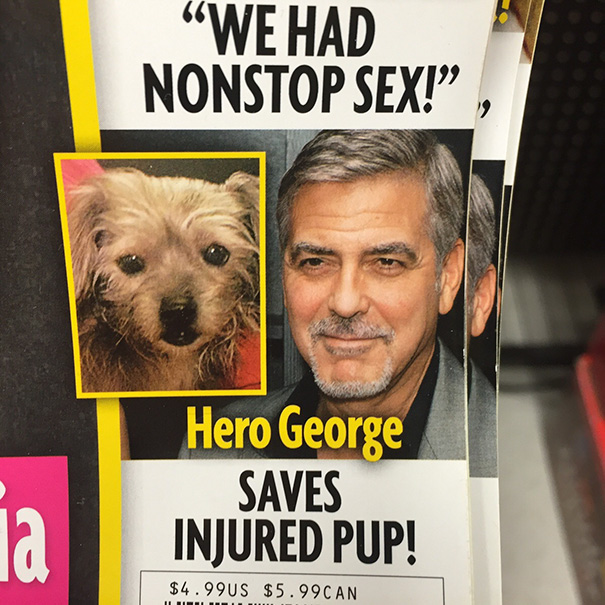 Oh George, You Sly Dog