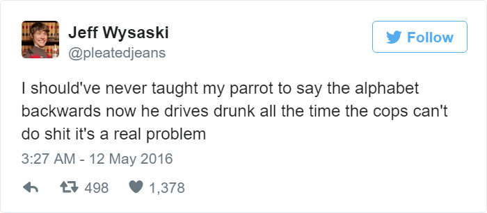 A Talking Parrot