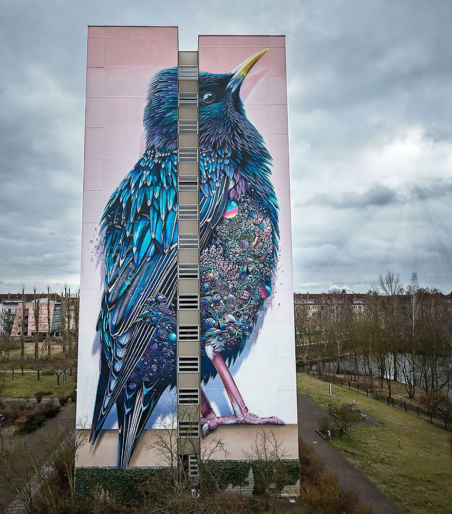 giant-starling-mural-street-art-collin-van-der-sluijs-super-a-berlin-1