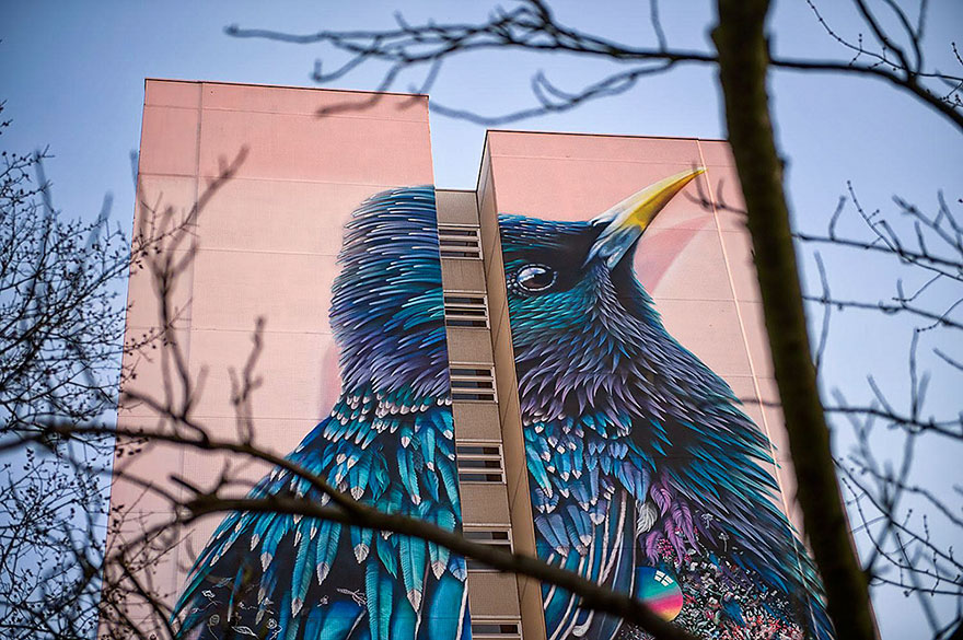 giant-starling-mural-street-art-collin-van-der-sluijs-super-a-berlin-4