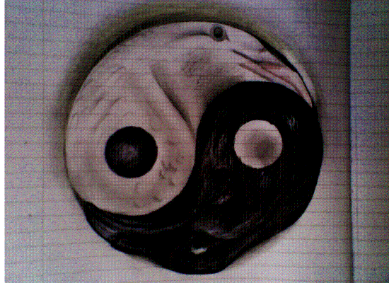 My Version Of The Yinyang
