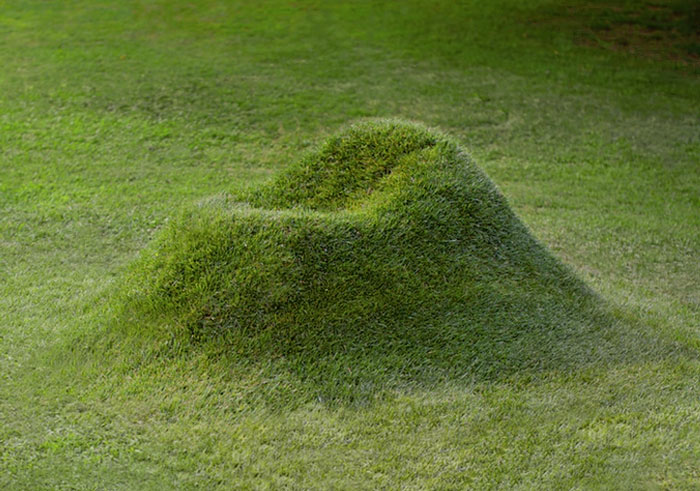 Grow Your Own Grass Chair In Your Backyard