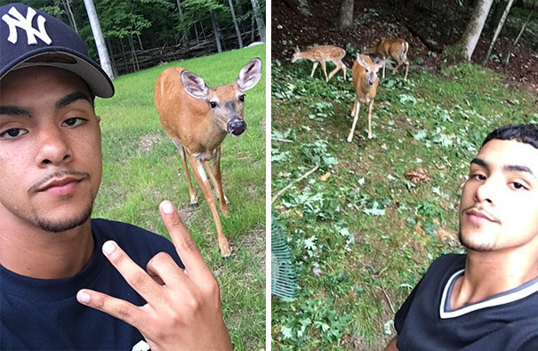 Teen Feeds A Deer Some Crackers, Becomes A Part Of A Deer Gang