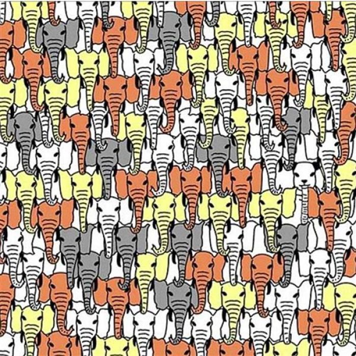 I'll Bet You Can't Find The Hidden Panda In Less Than 30 Seconds
