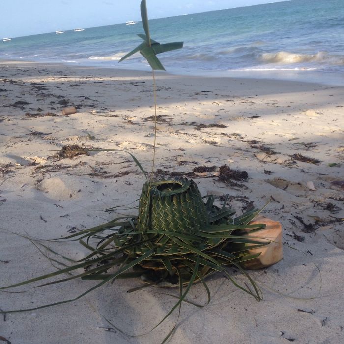 Coconut Art