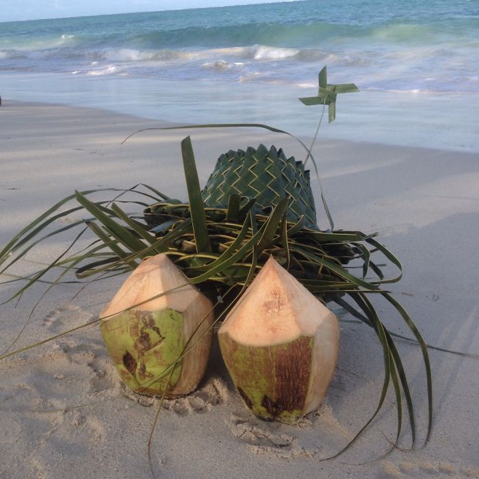 Coconut Art
