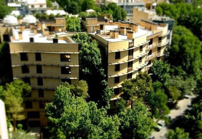 An Apartment In Tehran Which Was Built Without Cutting Even A Single Tree