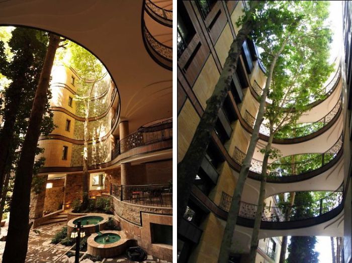 An Apartment In Tehran Which Was Built Without Cutting Even A Single Tree