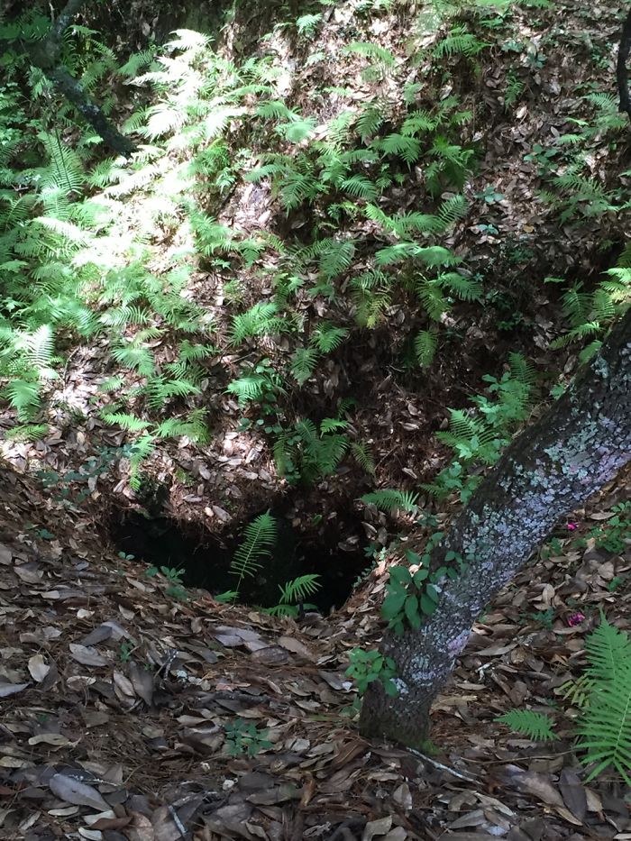 Sinkholes Ponce De Leon Fl