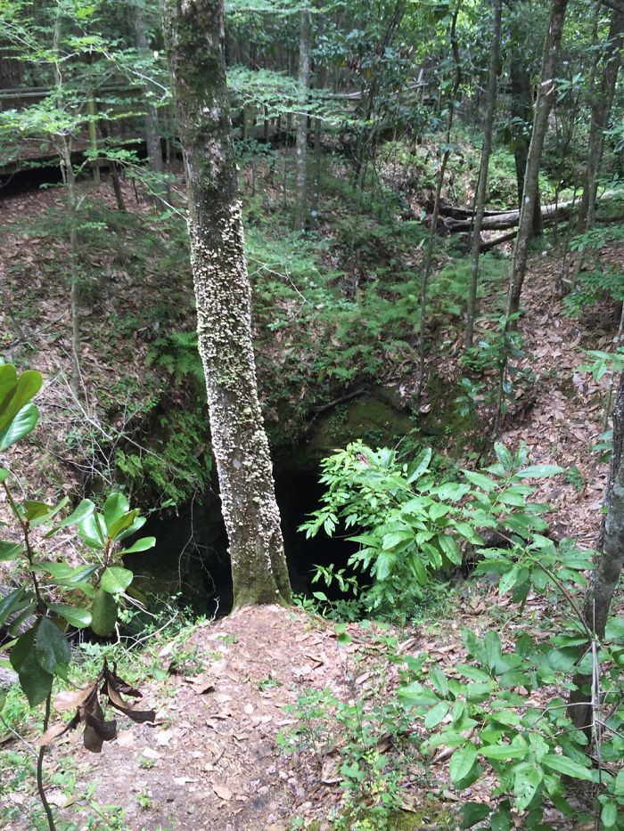 Sinkholes Ponce De Leon Fl