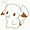 raysummer avatar