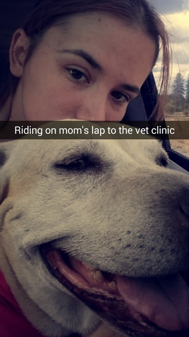 This Woman's Snapchats Of Last Day With Dying Dog Will Make You Cry