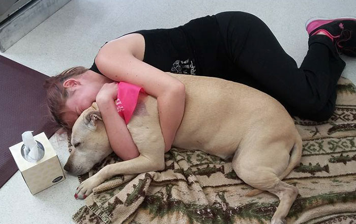 This Woman’s Snapchats Of Last Day With Dying Dog Will Make You Cry