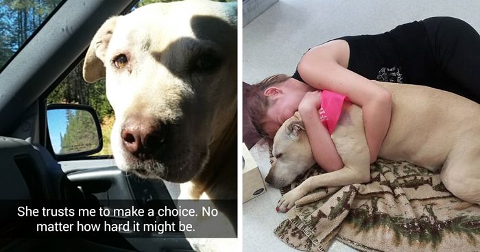 Snapchats Of Last Day With Dying Dog 