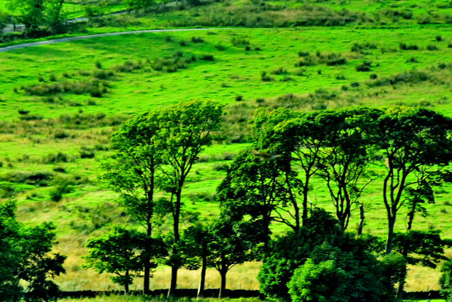 Road To Pendle Hill