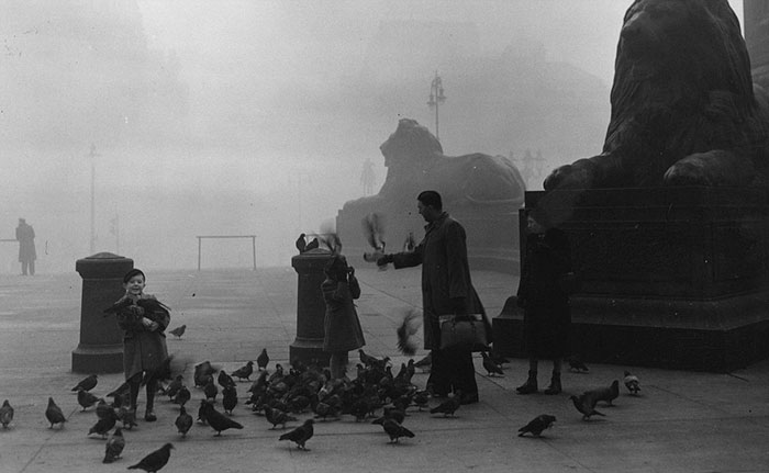 A Family Feeding The Famous Pigeons In London's Trafalgar Square, 1952