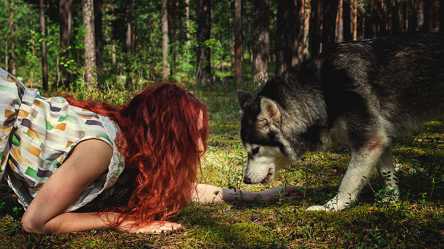 I Invited Husky For A Shoot To Create Photographic Series On True Friendship