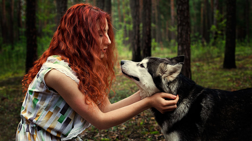 I Invited Husky For A Shoot To Create Photographic Series On True Friendship