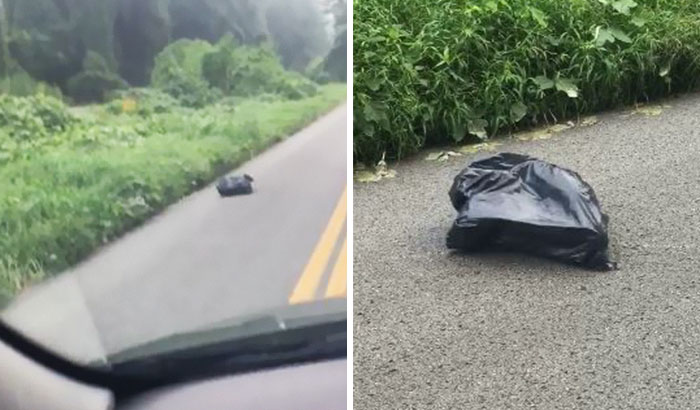 Woman Sees A Moving Garbage Bag On The Road, Stops Her Car To Save It