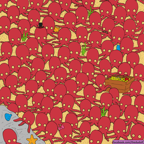 Can You Find The Hidden Fish?