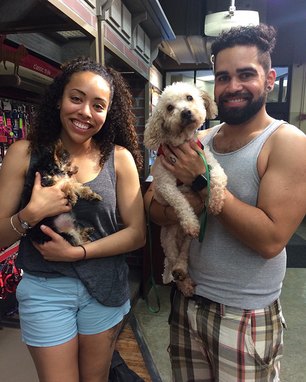Last Week, Gilbert First Met His New Mom And Dad, Nellissa and Noel, And 10-Year-Old Yorkie Brother Named Clyde