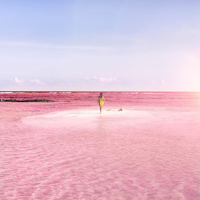 Naturally Pink Lagoon in Mexico Is The Most Instagram-Worthy Place To Be