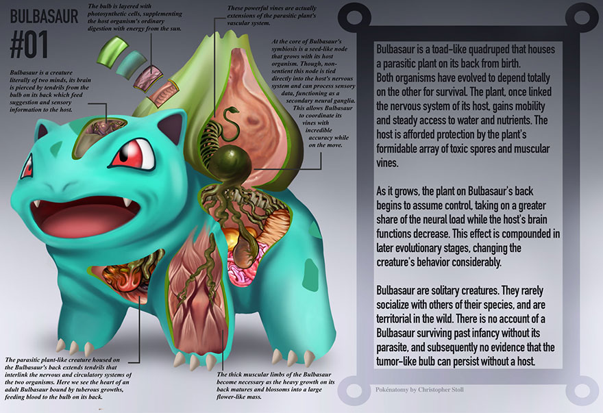 Detailed Illustrations Reveal The Anatomies Of Pokémon