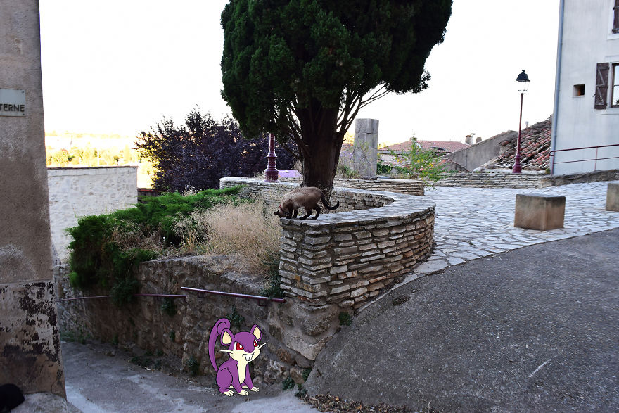My Friends Were Too Distracted By Pokémon Go To Check Out My Vacation Photos Until I Did This