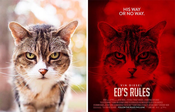 This Guy Is Turning Random People’s Photos Into Movie Posters (62 New Pics)