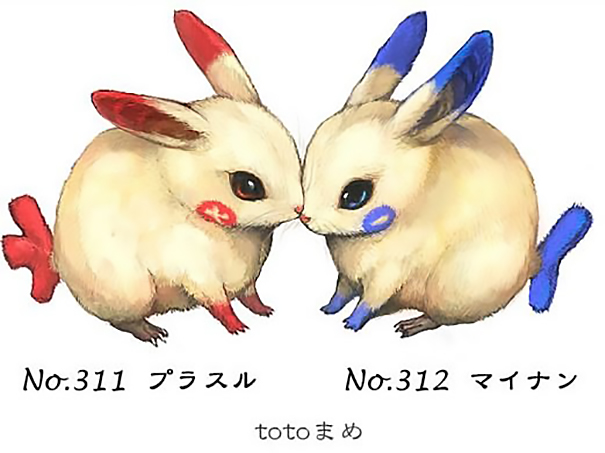 real-life-pokemon-illustrations-totomame-3