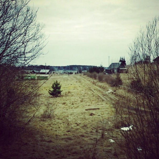 I Capture The Beauty Of Rural Lithuania (And Sometimes My Cat) With A Crappy Camera