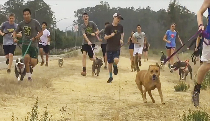 Shelter Dogs Get Invited On A Morning Run With Students, Can’t Hold Their Excitement