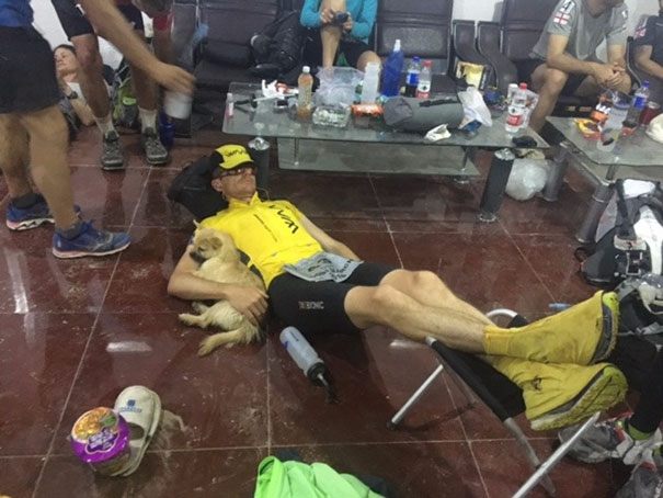 Stray Dog Joins 155-Mile Race, Finishes It With A New Dad