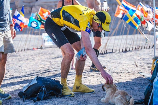 Stray Dog Joins 155-Mile Race, Finishes It With A New Dad