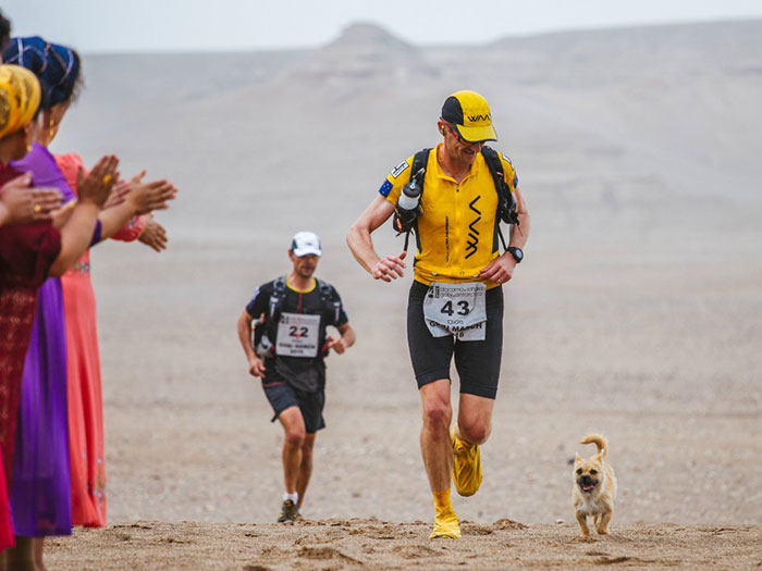 stray-dog-reunited-runner-gobi-dion-leonard-china-5