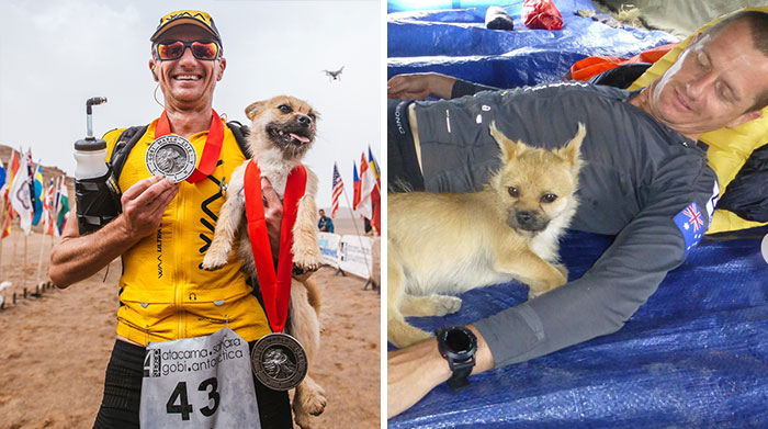 Stray Dog Who Joined Runner On 155-Mile Race Disappears So The Athlete Flies To China To Find Him