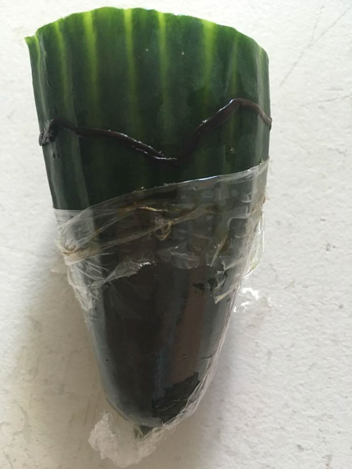 Man Finds Dead Worm In His Cucumber, Tesco's Response Is Brilliant