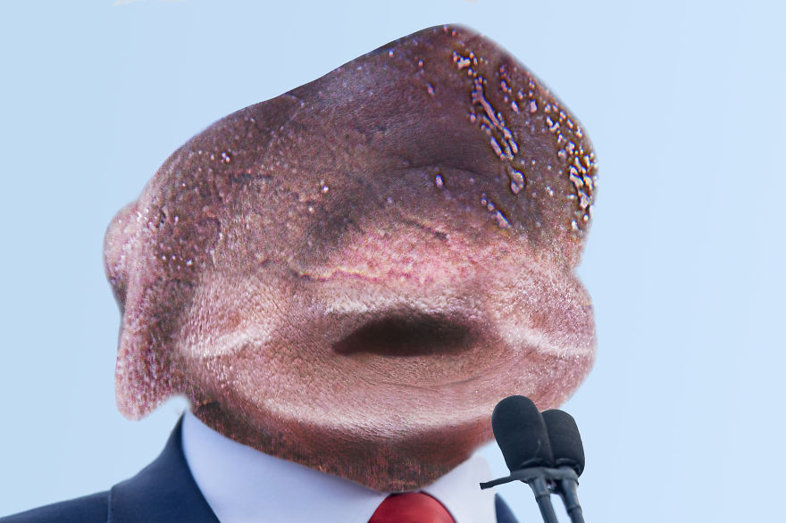 I Lost Sleep Thanks To Mutant Donald Trump I Lost Sleep Thanks To Mutant Donald Trump