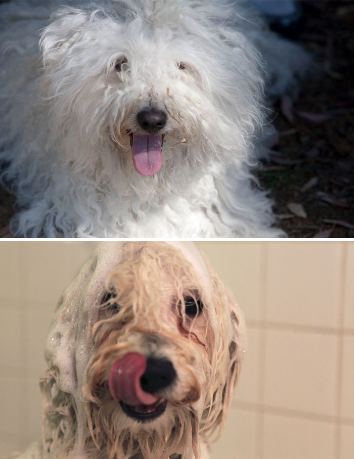 Before Vs. After Bath