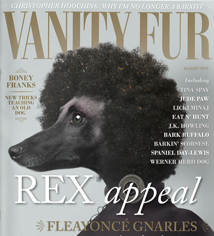 What Magazines Would Look Like If Dogs Ruled The World