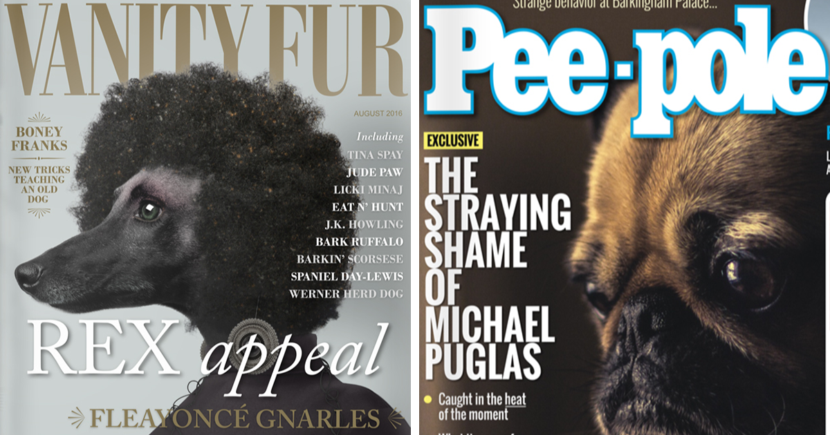 What Magazines Would Look Like If Dogs Ruled The World | Bored Panda